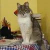 Отзыв от Яна Островская